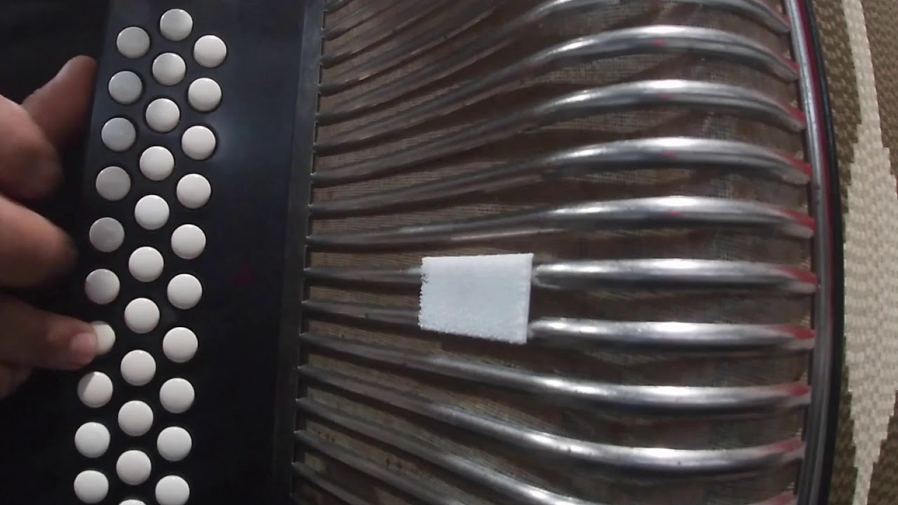 EL MANICERO ACCORDEON