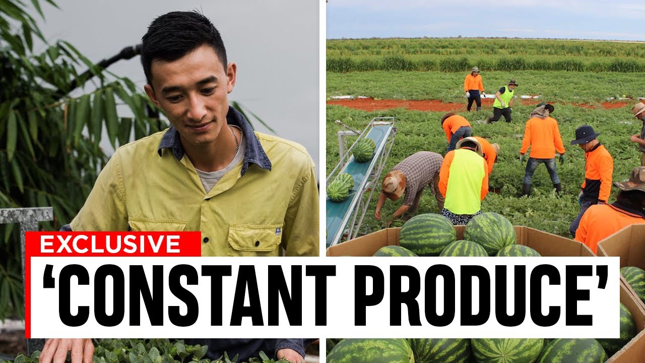 Tropical Farming&hellip; How To Farm When The Weather Is Always The Same!