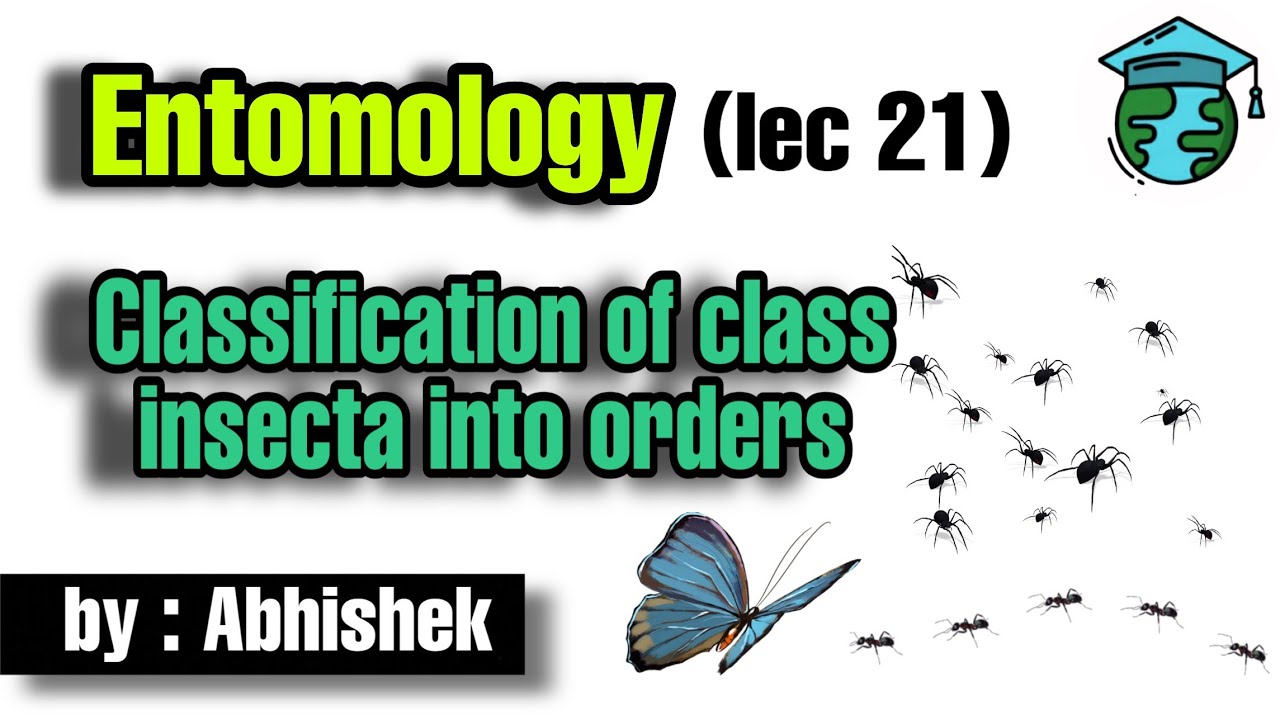 Classification of class insecta into order lec 21 • Go For Agriculture Education #icar #bhu #ibps