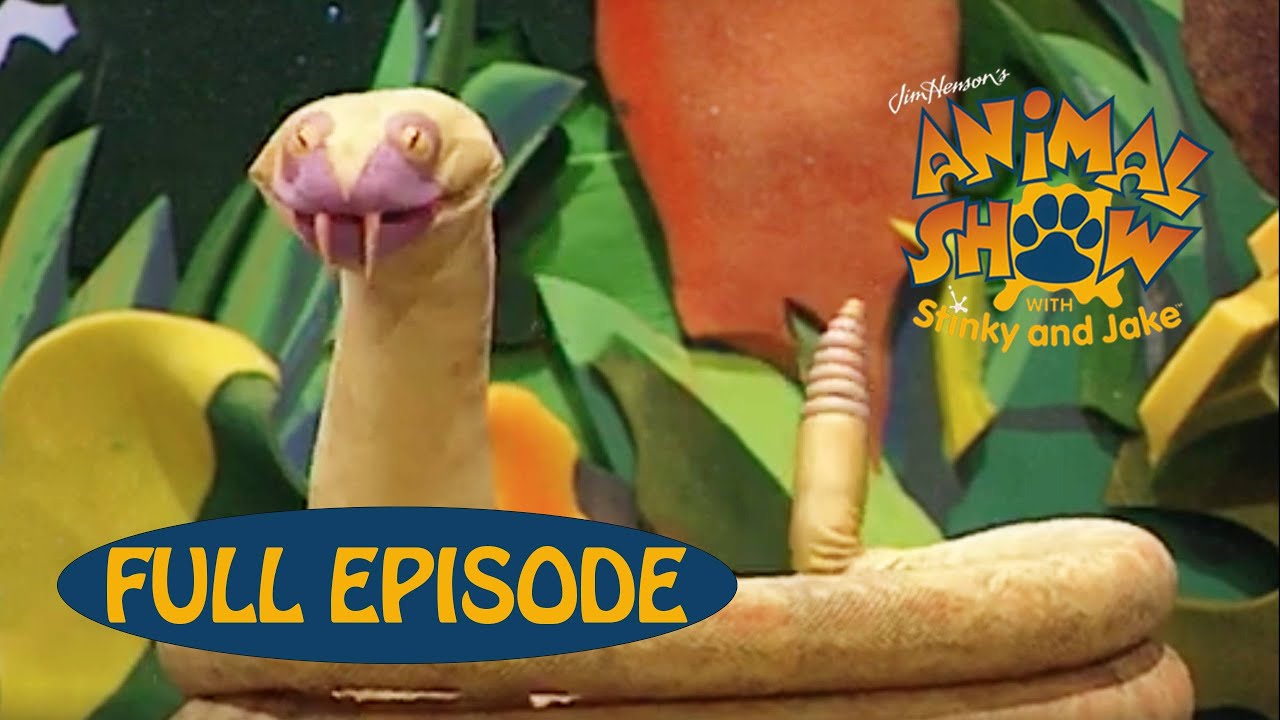 Animal Show | Rattlesnake 🐍 / Skunk 🦨 | Jim Henson Family Hub | Kids Cartoon