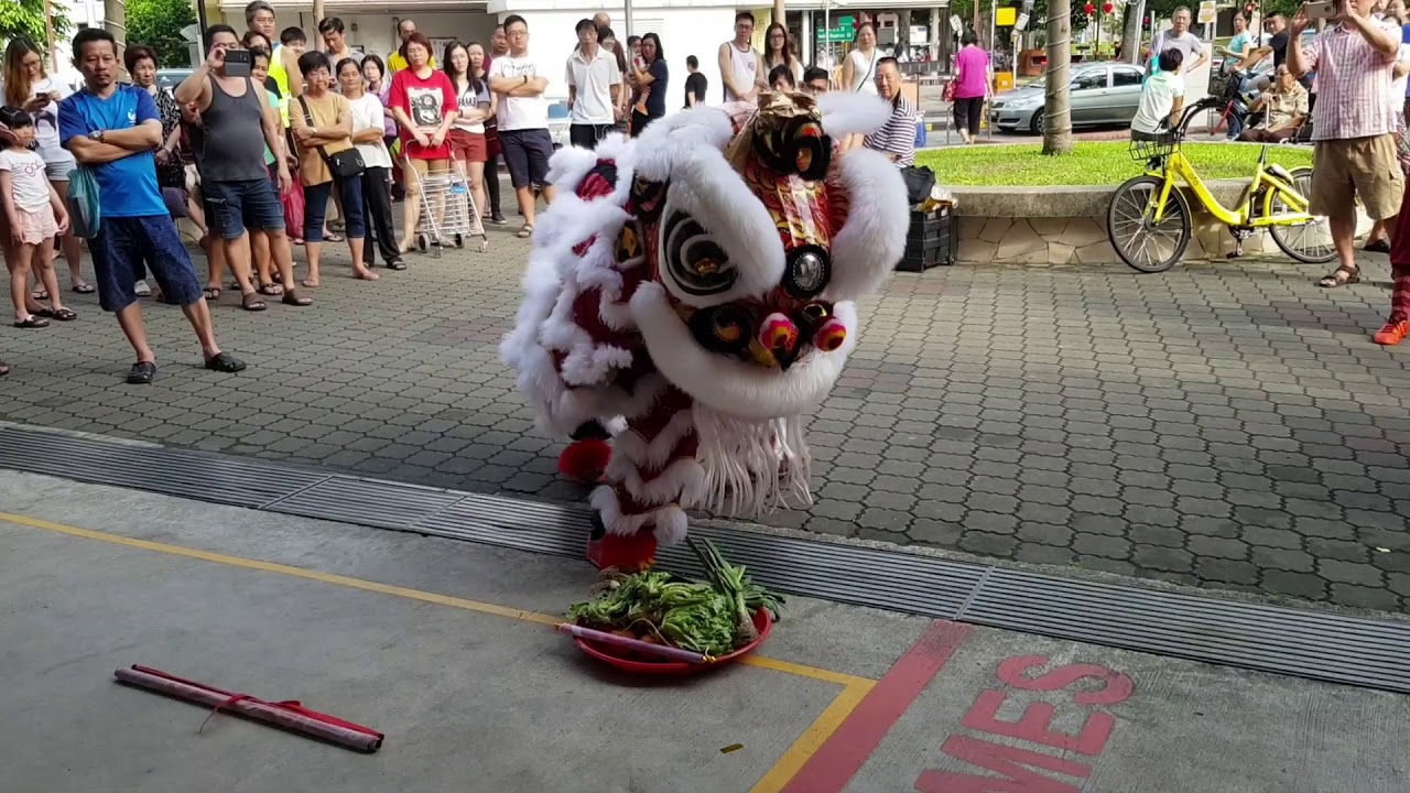 Singapore Lion Dance Performance