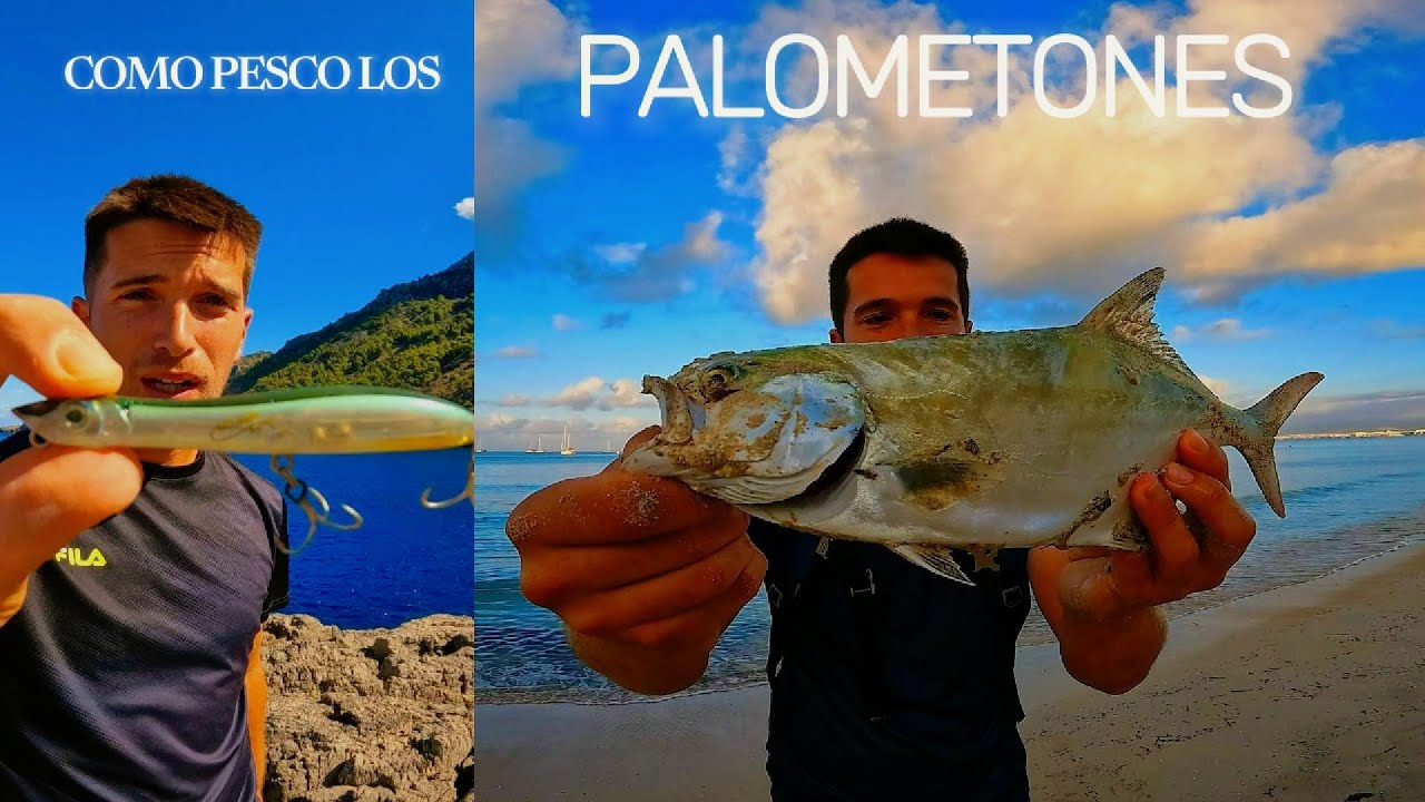 COMO pesco PALOMETONES