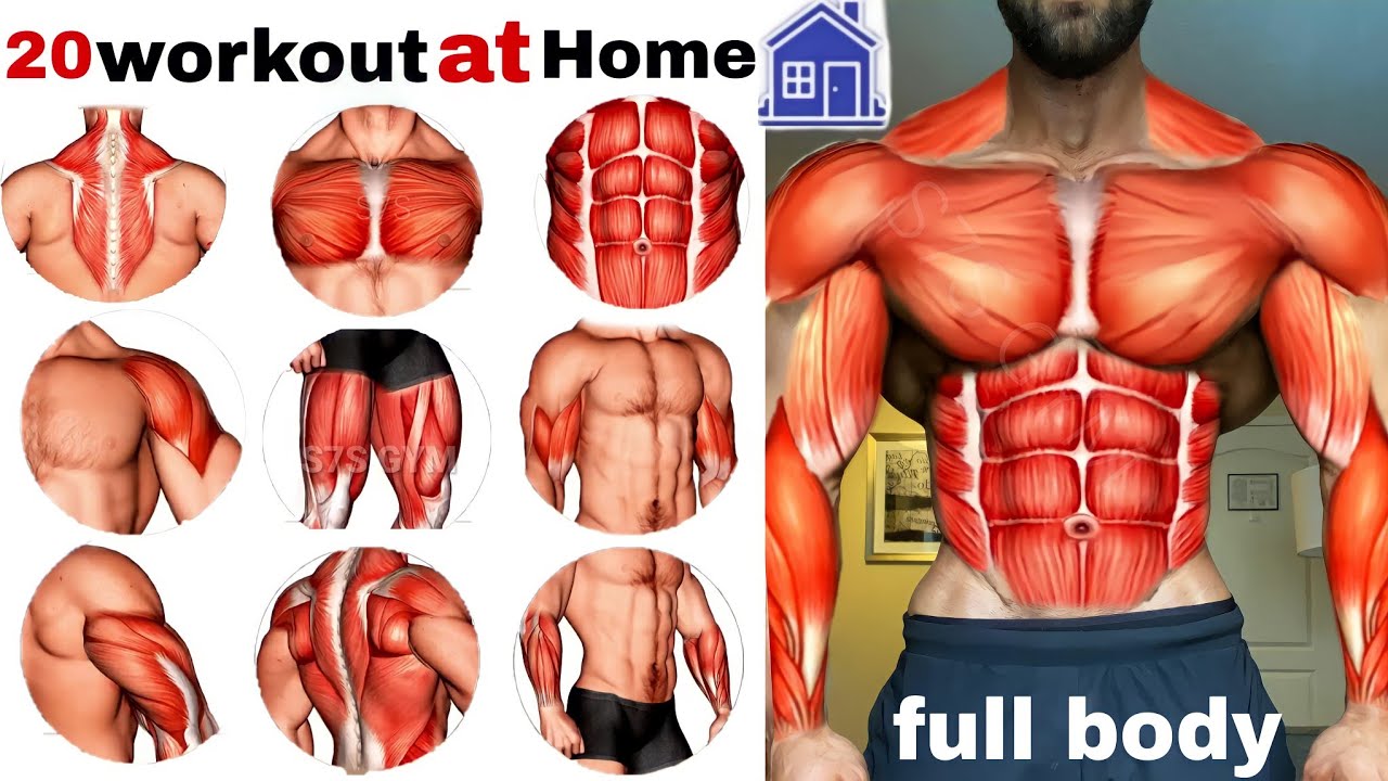 full-body exercises at🏠تمرين الجسم كامل في المنزل home No equipment @S7S_WORKOUT
