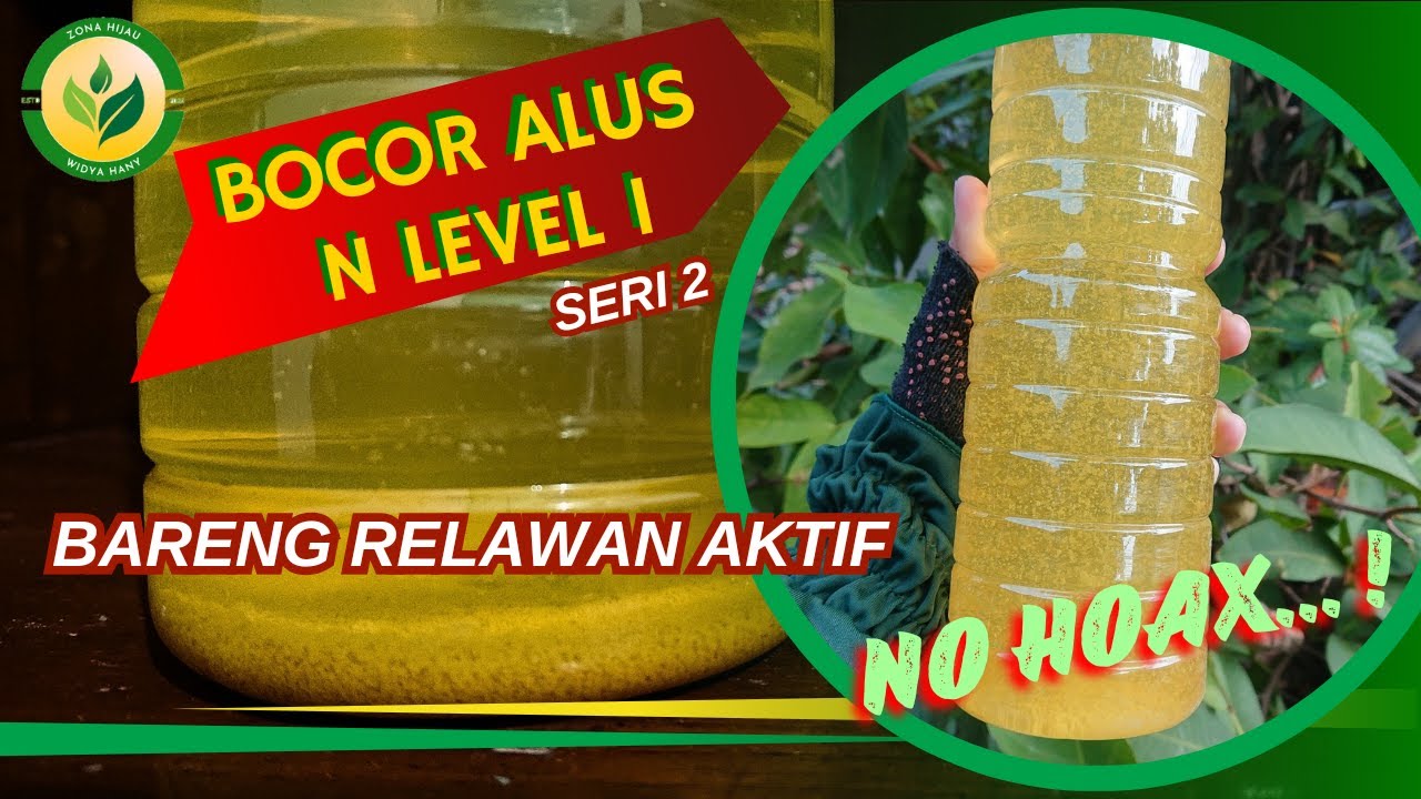 BOCOR ALUS N LEVEL 1 Bareng Relawan Aktif, No Hoax (seri 2) #biosaka @ZonaHijau78