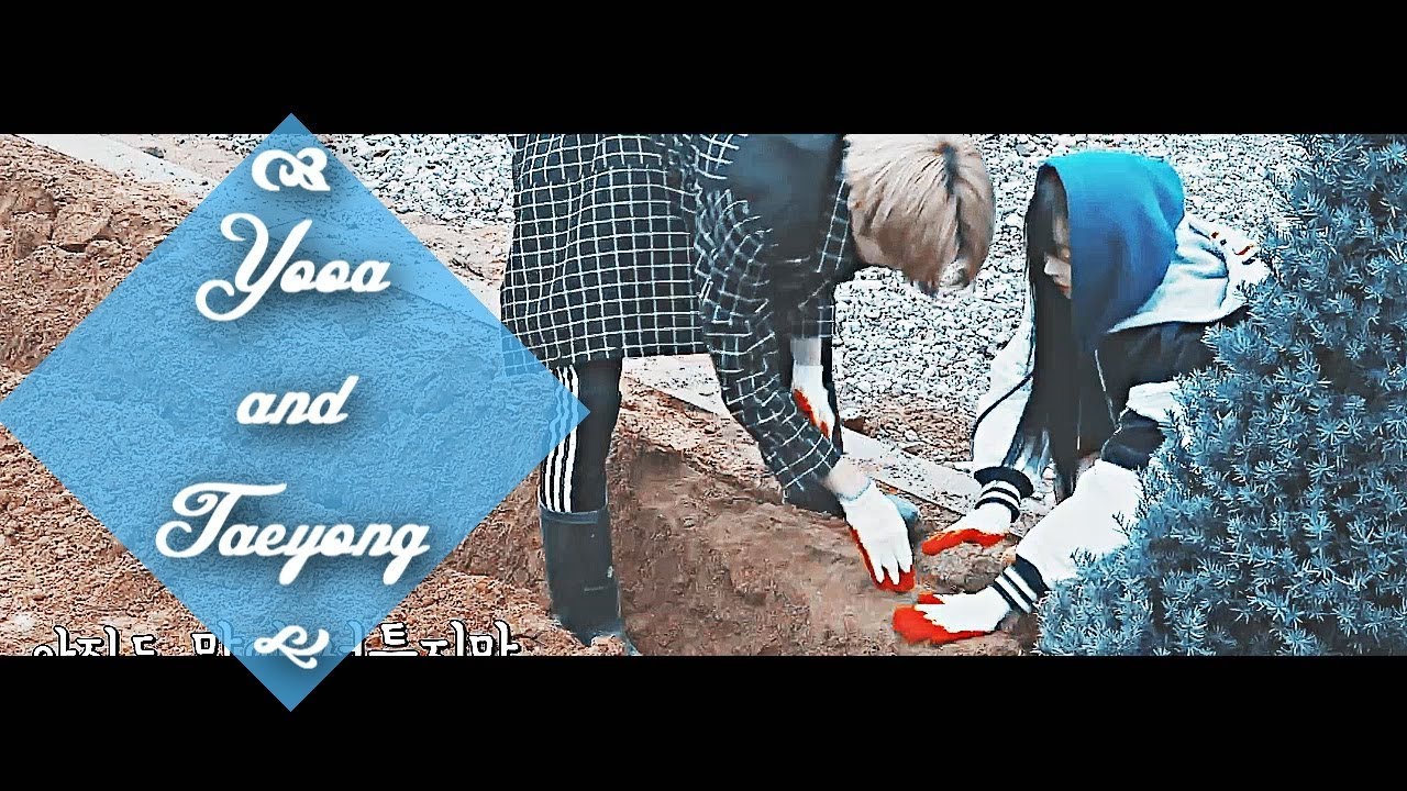 ❀ Yooa ✘ Taeyong ❀ | You Dig And I Plant