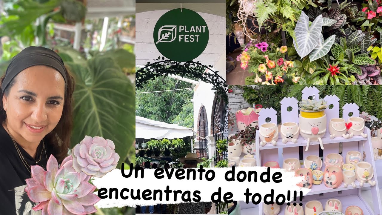 Festival de plantas en Querétaro / Plant Fest