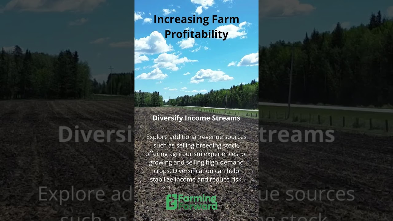 Increasing Farm Productivity : Diversify Income Streams #farming #cattlecare  #cattlefarming