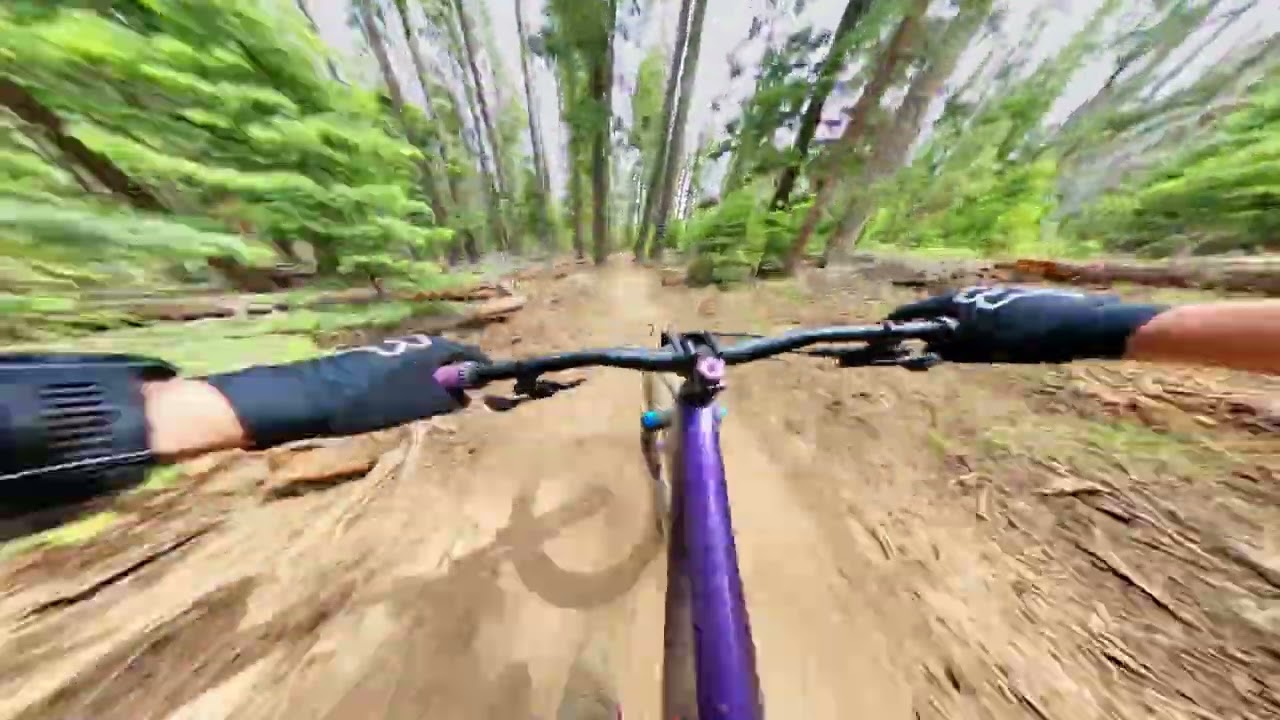 Full Sail Trail | Flagstaff, Arizona | Best New Downhill Flow Trail