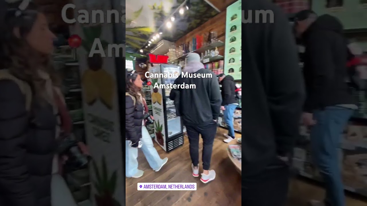 Cannabis Museum 😬📍 Amsterdam  #cannabis #amsterdam #amsterdamholidays #amsterdamlife