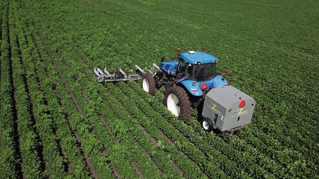 Weed Zapping | Organic Weed Control for Organic Farming
