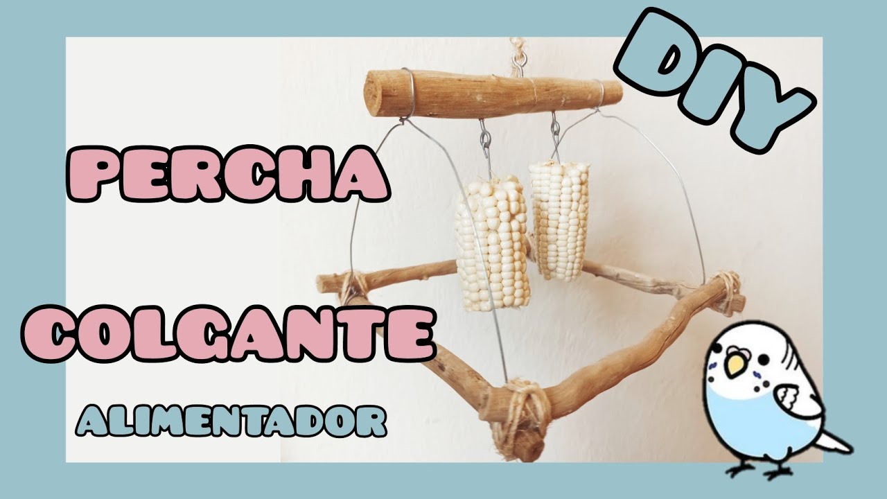 Percha columpio alimentador 💡| DIY | Periquitos Australianos