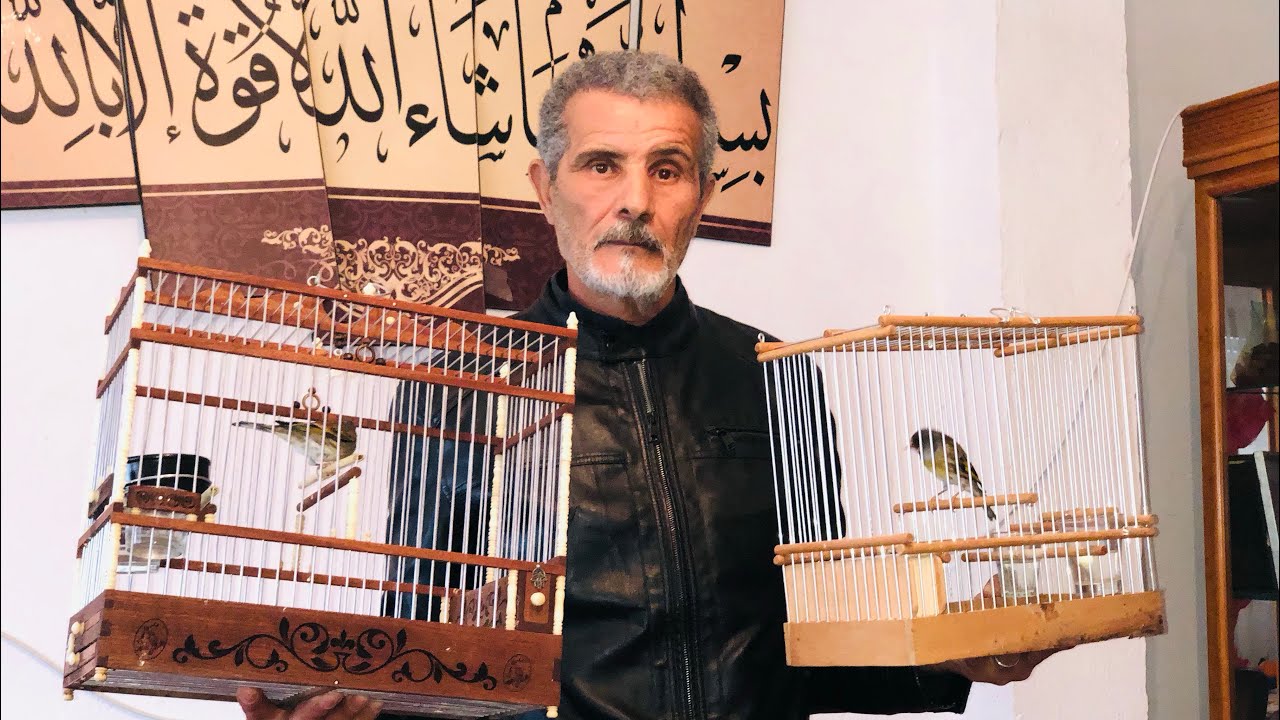 حلقة 16: شادلي باشا 🇹🇳 الطرقة و مقنين 