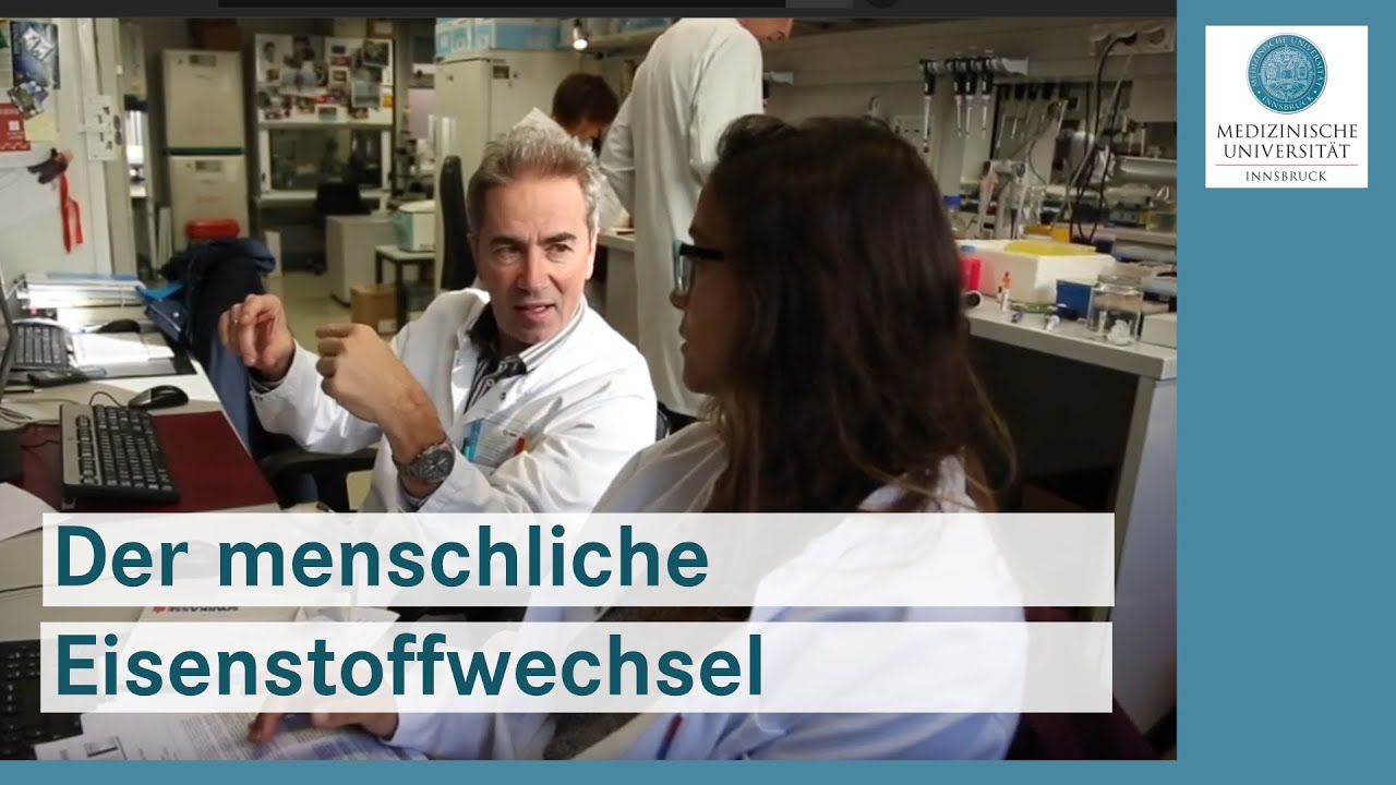 Der menschliche Eisenstoffwechsel