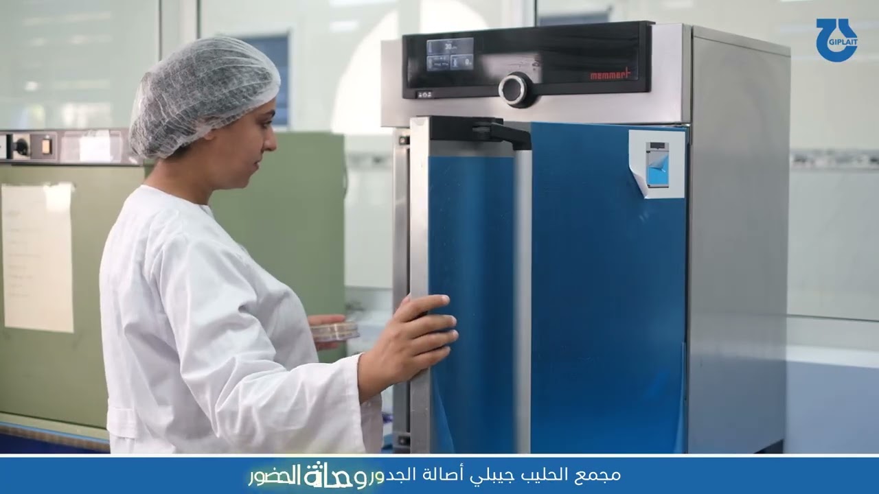 مجمع جيبلي افاق وتحديات