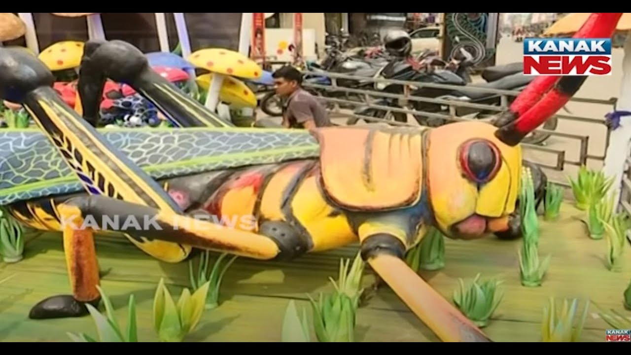 Festive Buzz In Angul Ahead Of Gaja Lakshmi Puja | Markets Glow With Celebration