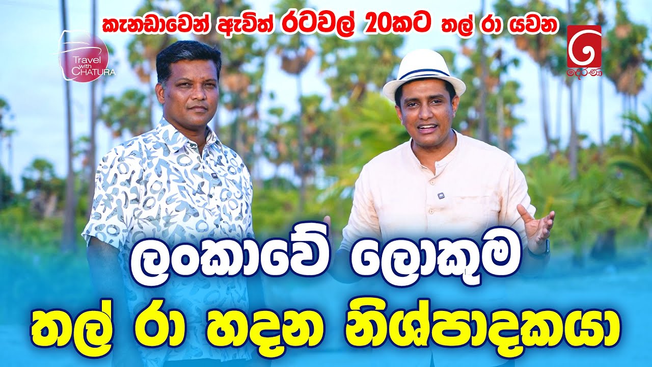 ලංකාවේ ලොකුම තල් රා නිශ්පාදකයා | Travel with Chatura