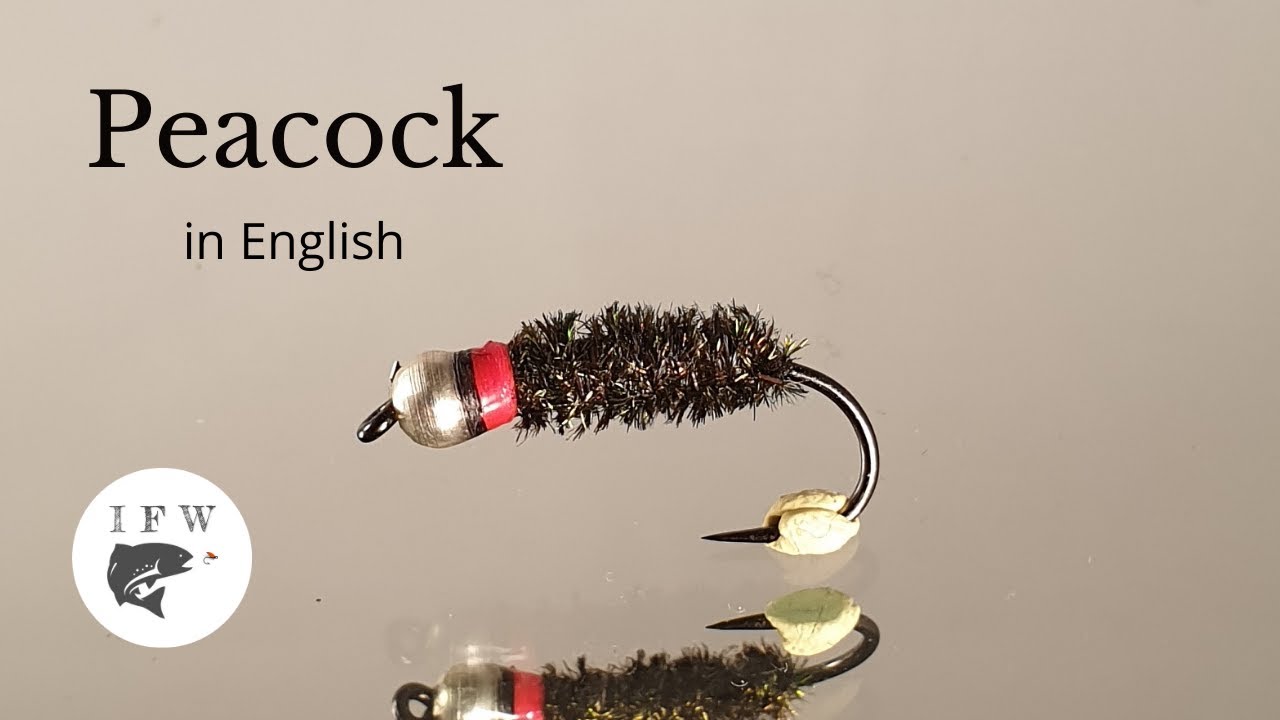 Tying a fly called Peacock Fly Tying tutorial | Ívar's Fly Workshop