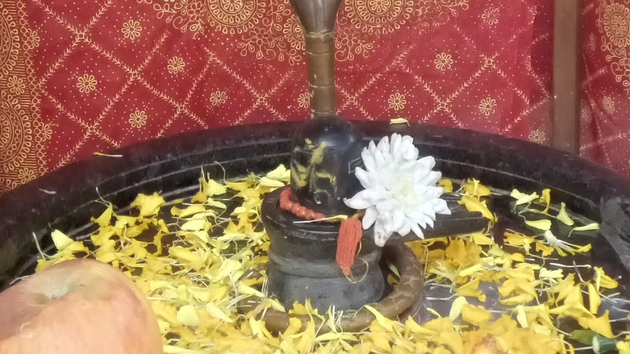 🛕सिद्धपीठ श्री हनुमंतेशवर मंदिर फगवाडा पंजाब से सीधा प्रसारण|| LIVE || #AARTI #HANUMAN 01Mar2026