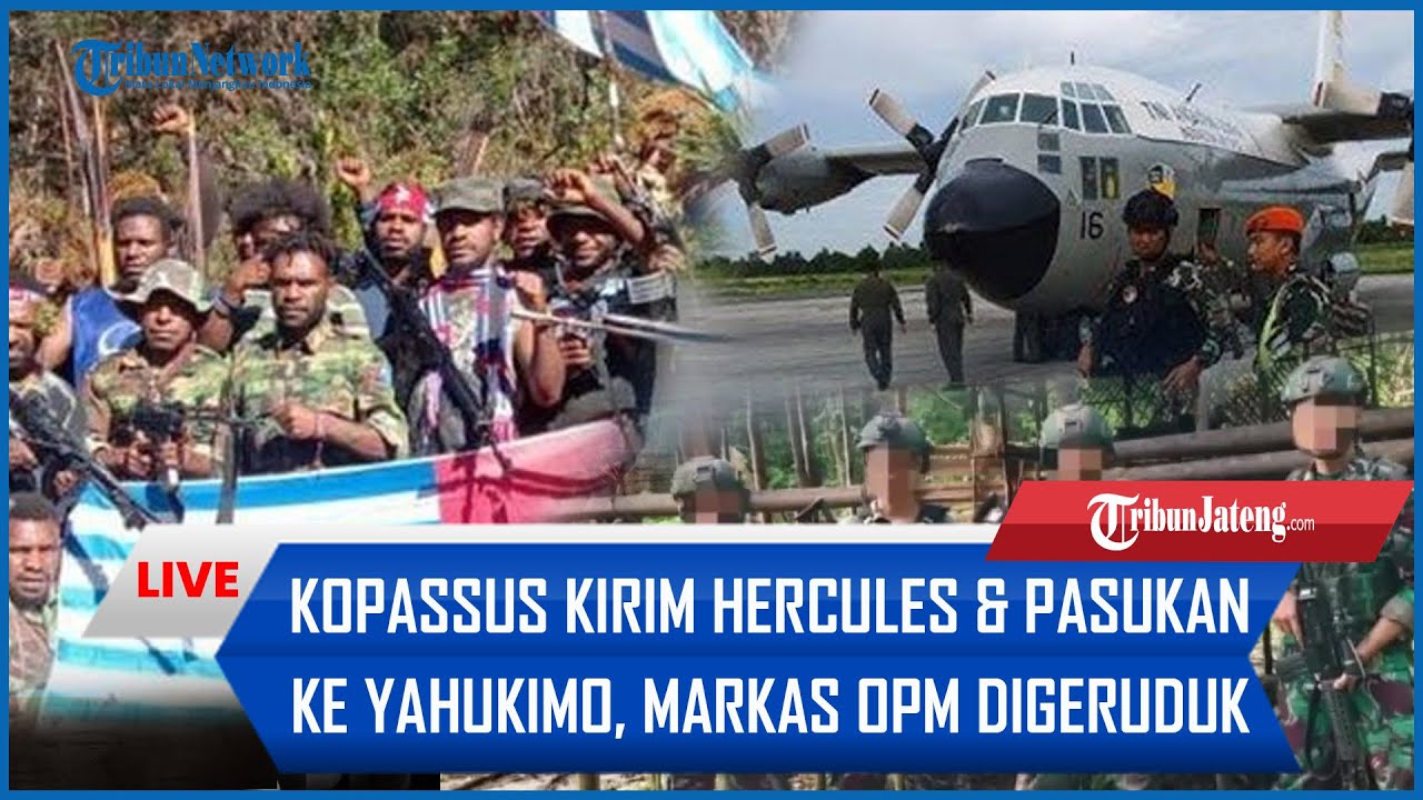 🔴 Bandara Diserang OPM, Jenderal Kopassus Kirim Hercules & Pasukan ke Yahukimo, Markas OPM Digeruduk