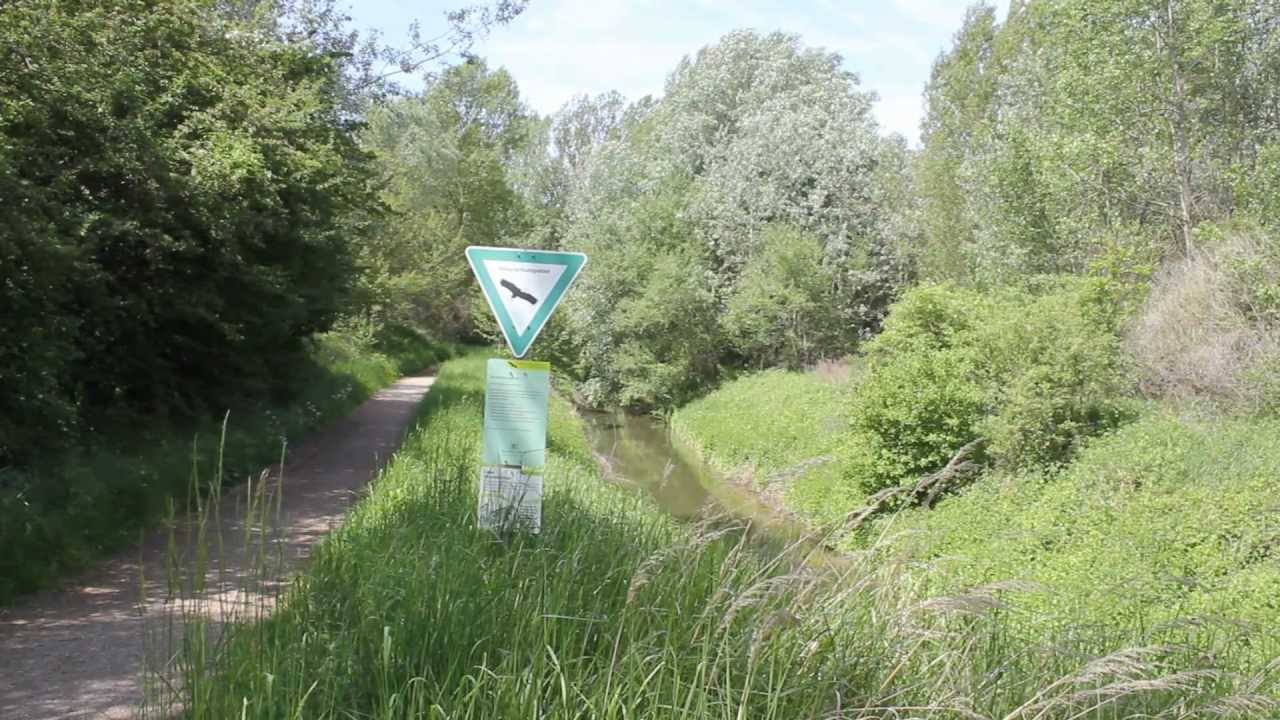 Der Leimbach - Ein Film von Eckarth Palutke und Peter Lemke - MeikelTV.de