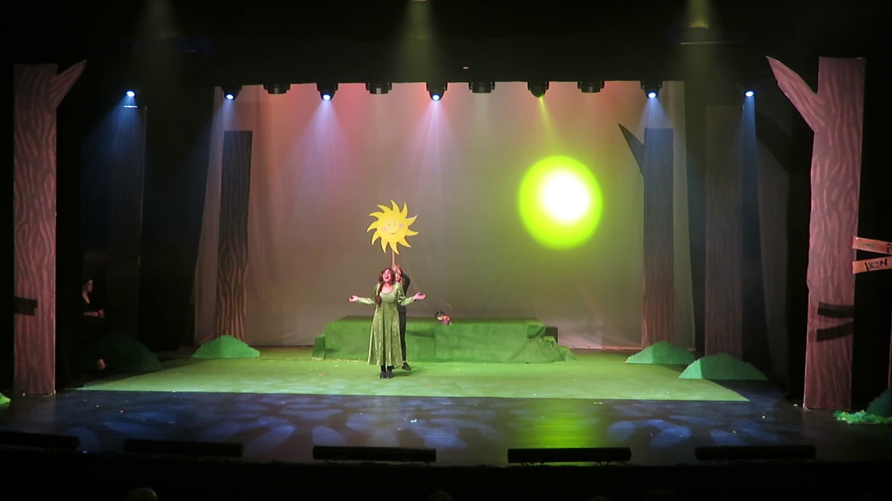 שרק 2019 - פיונה - איזה יום יפה