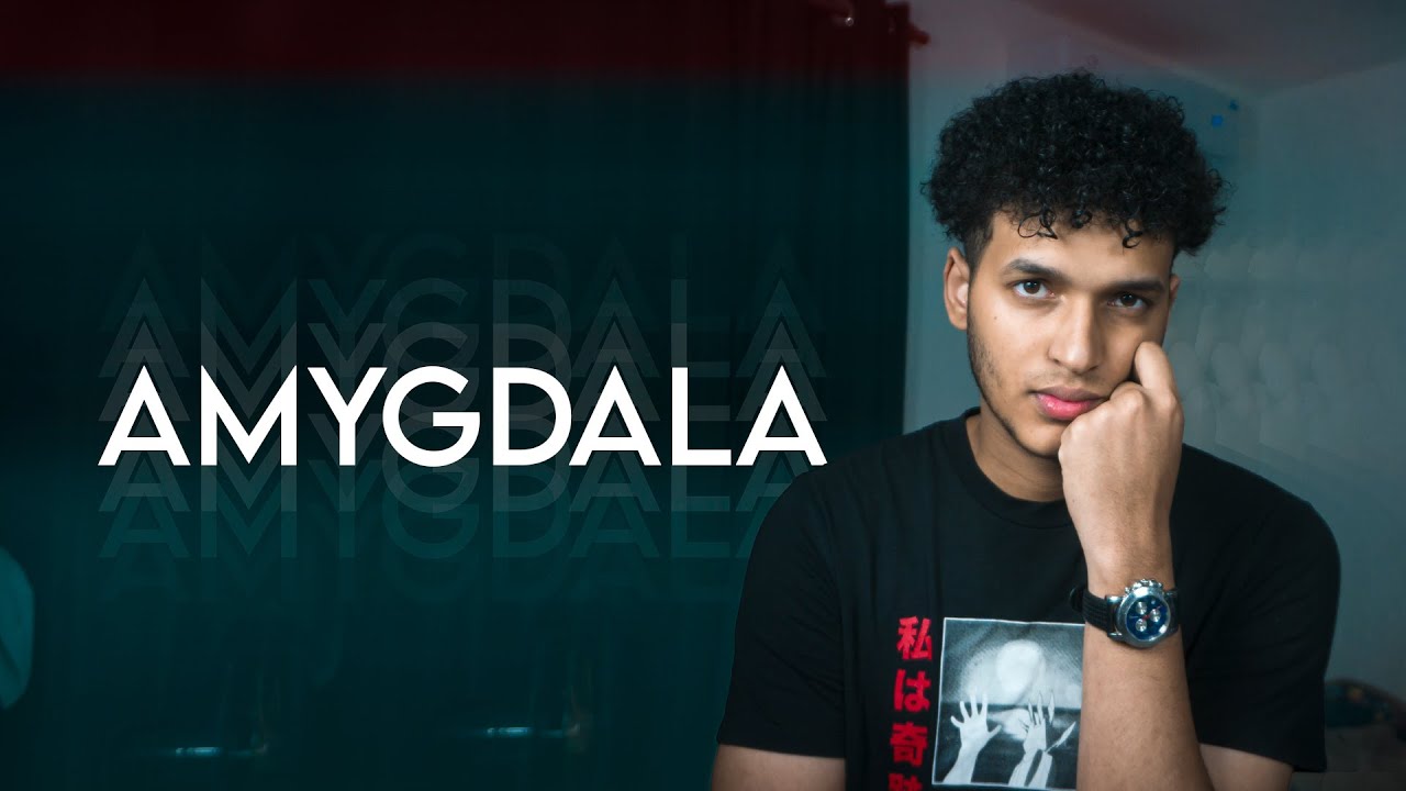 Agust D (Suga Of BTS) - AMYGDALA (Cover Español) | Keblin Ovalles