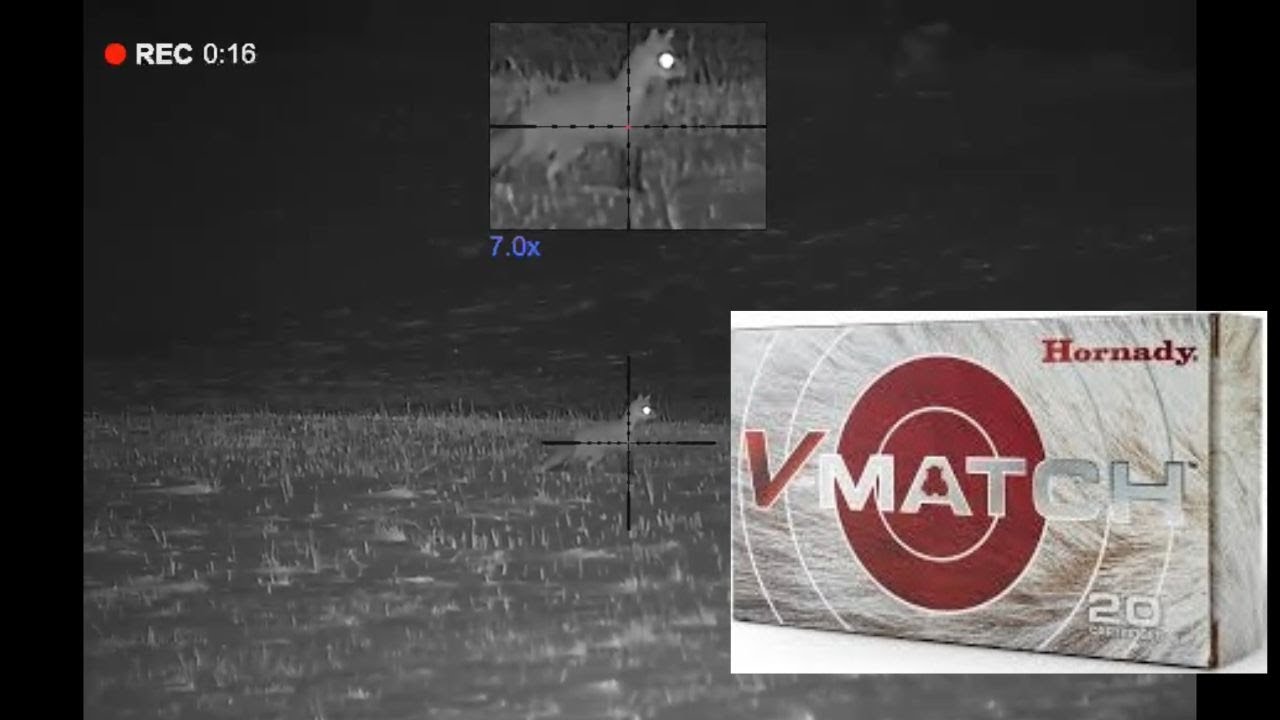 Fox Hunting with 6.5 creedmoor 100 gr ELD VT