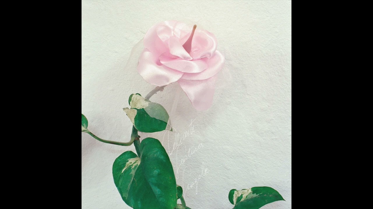 Delicate Features - Sun Circle