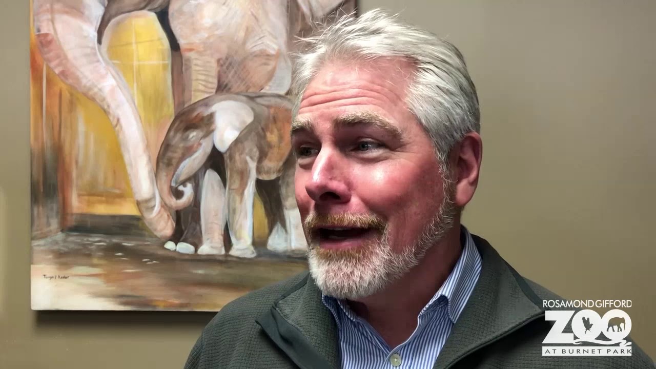 Baby elephant birth at the Rosamond Gifford Zoo 2019
