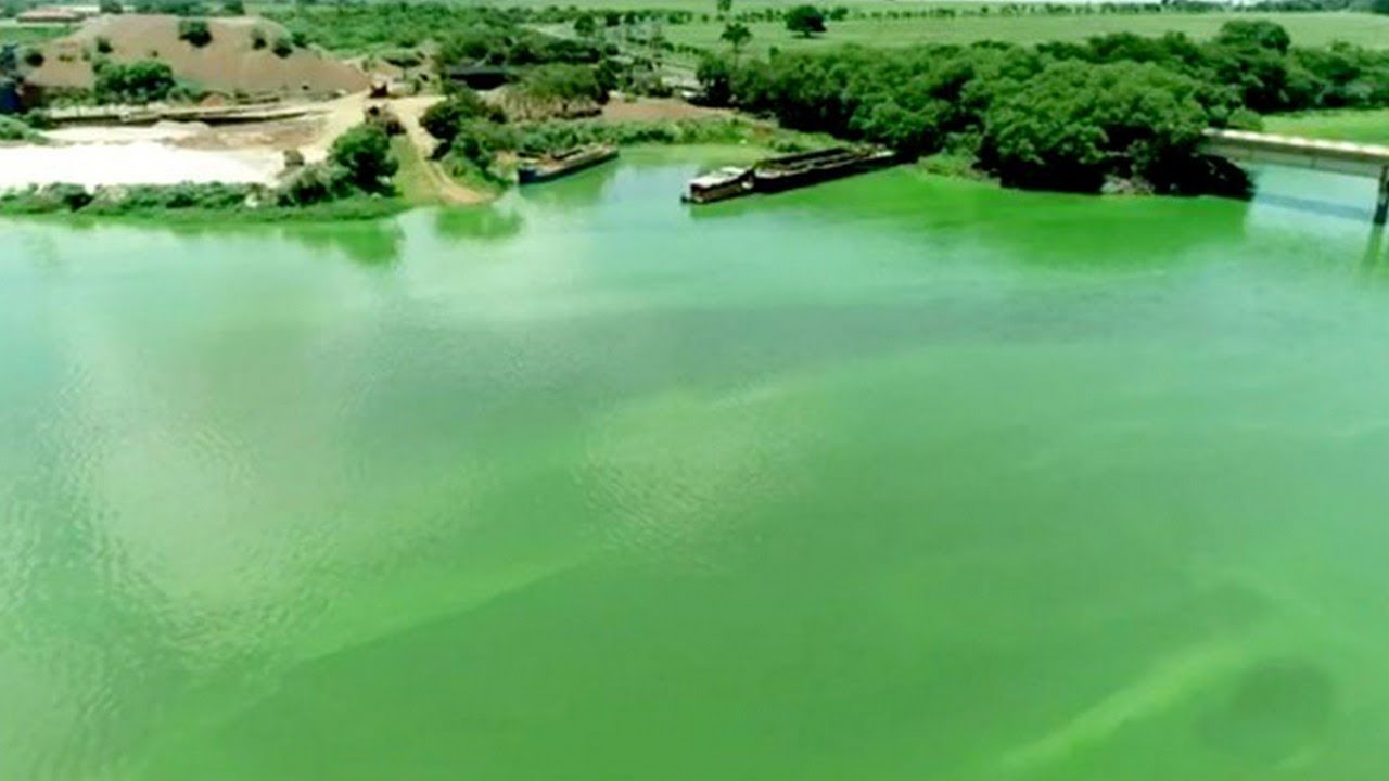 ÁGUAS do RIO TIETÊ estão VERDES