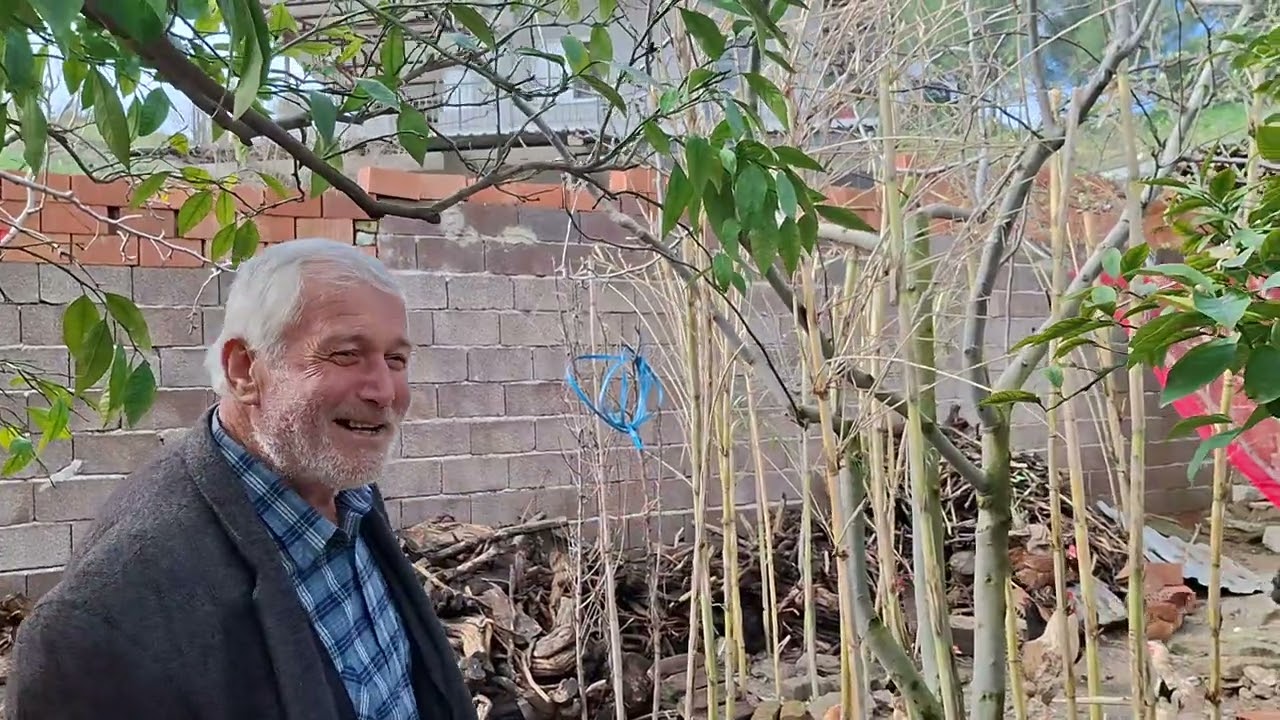 2026 /2/22/ şubat sezgin abiden agaçları ve tavukları koruma tiosu...