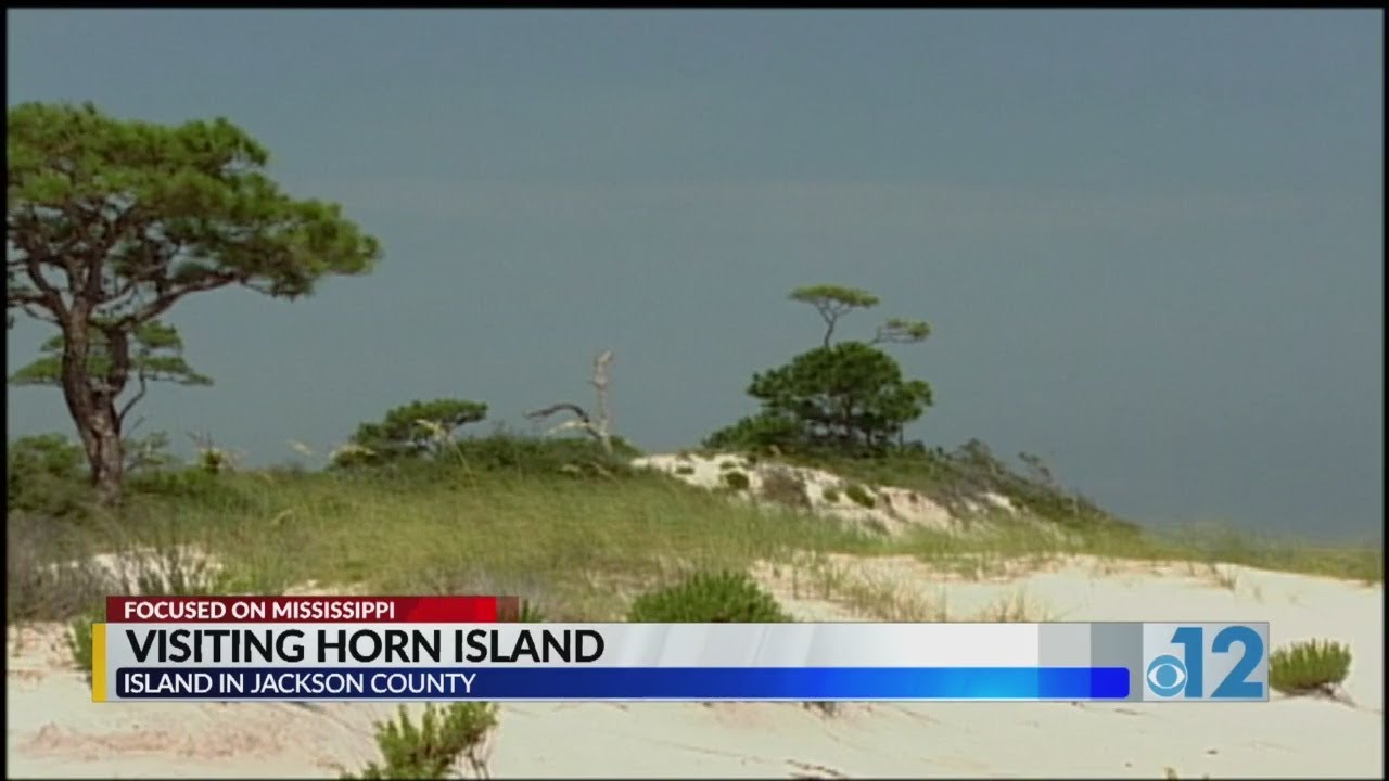 Focused on Mississippi: Horn Island