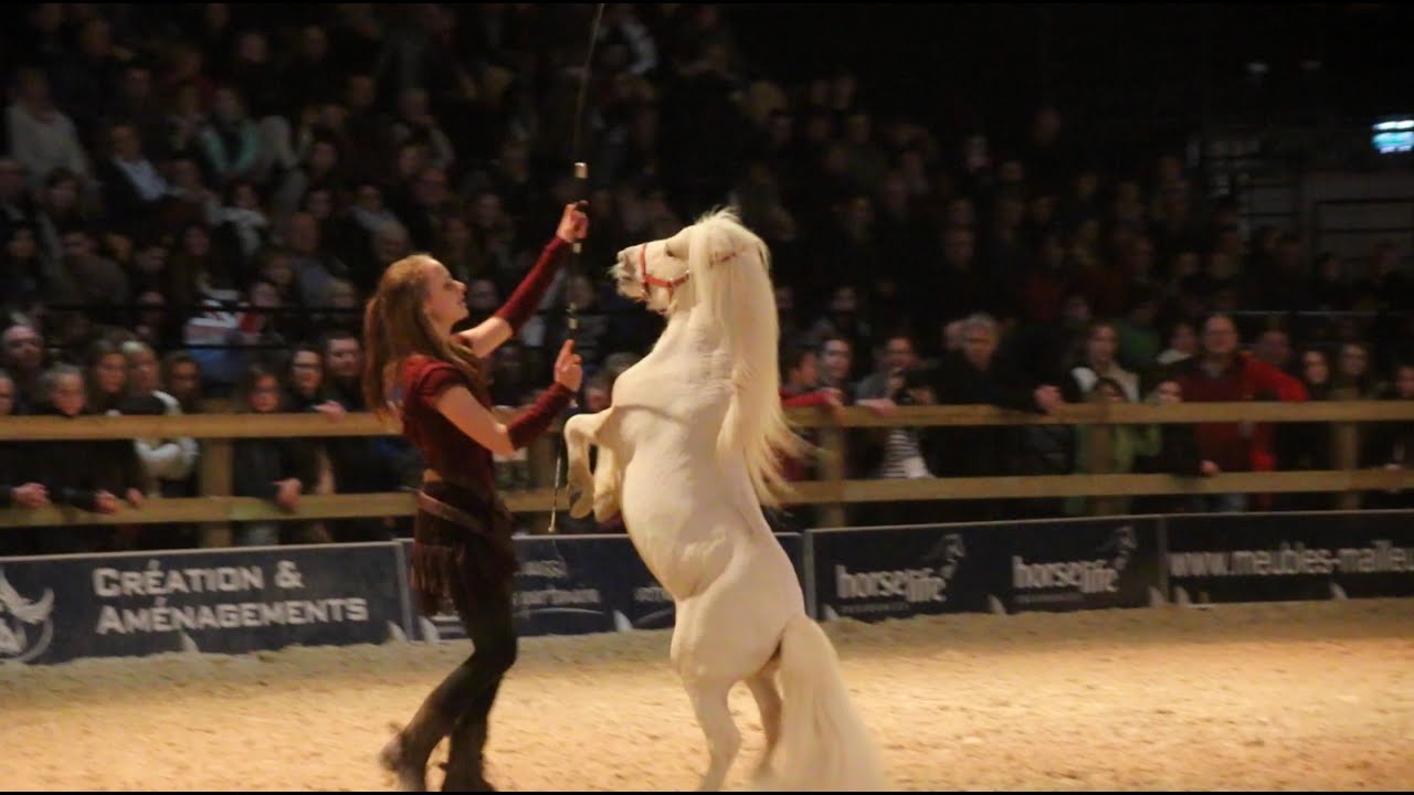 Weekend au Wallonie Equestre Event 2016