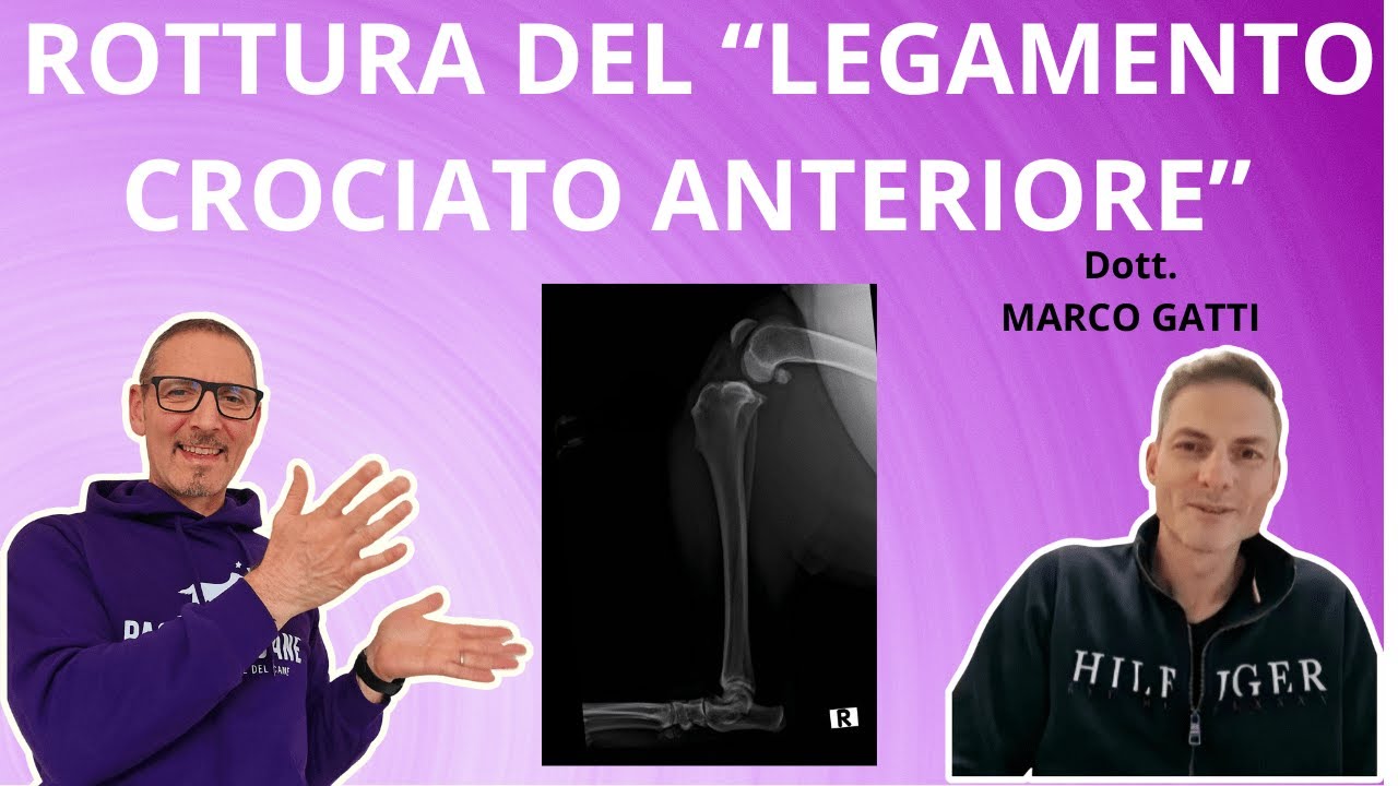 Rottura del Legamento Crociato Anteriore nel Cane