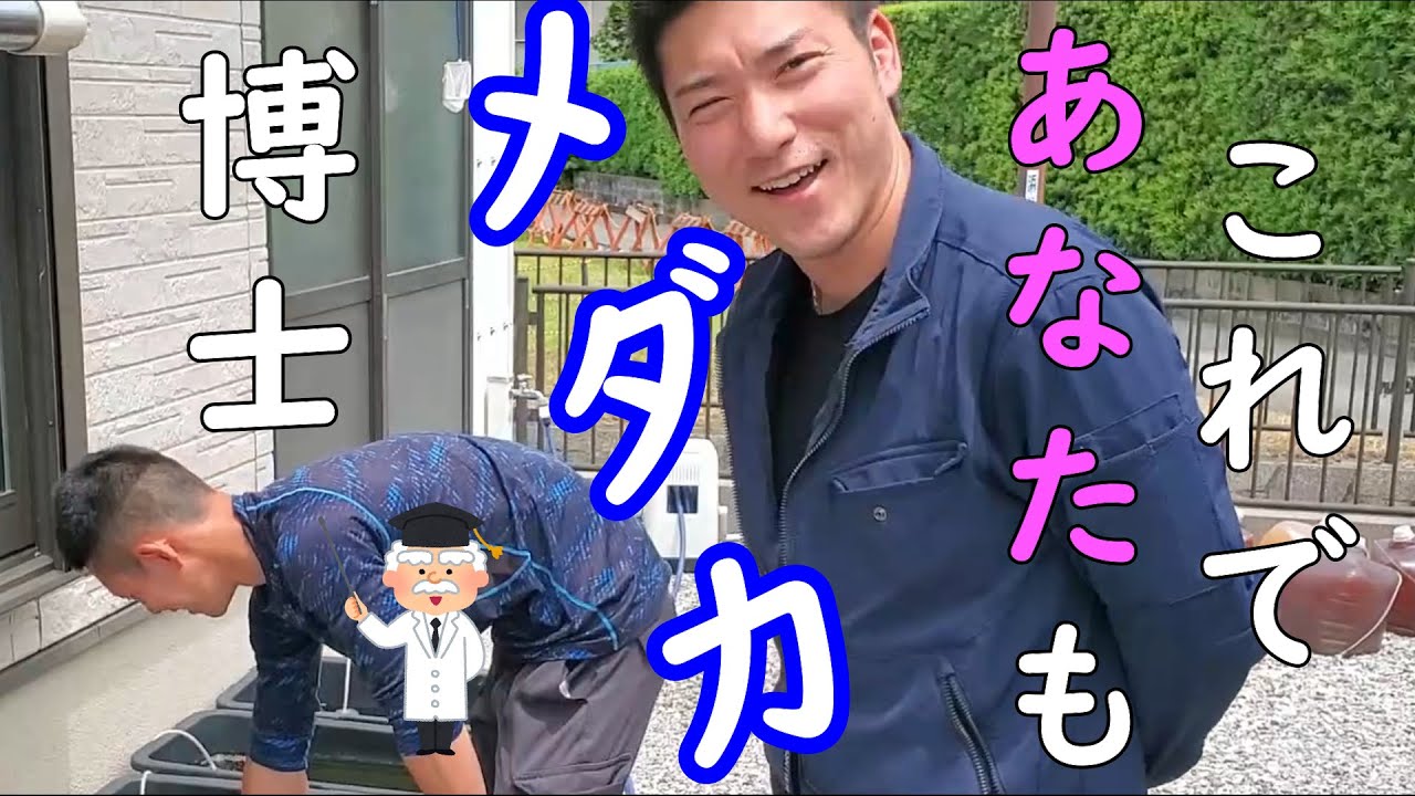 【メダカ】いろんなメダカを見に行きました！オロチ？夜桜？みゆき？飼い方を詳しく教えてもらって、これであなたもメダカ博士！！