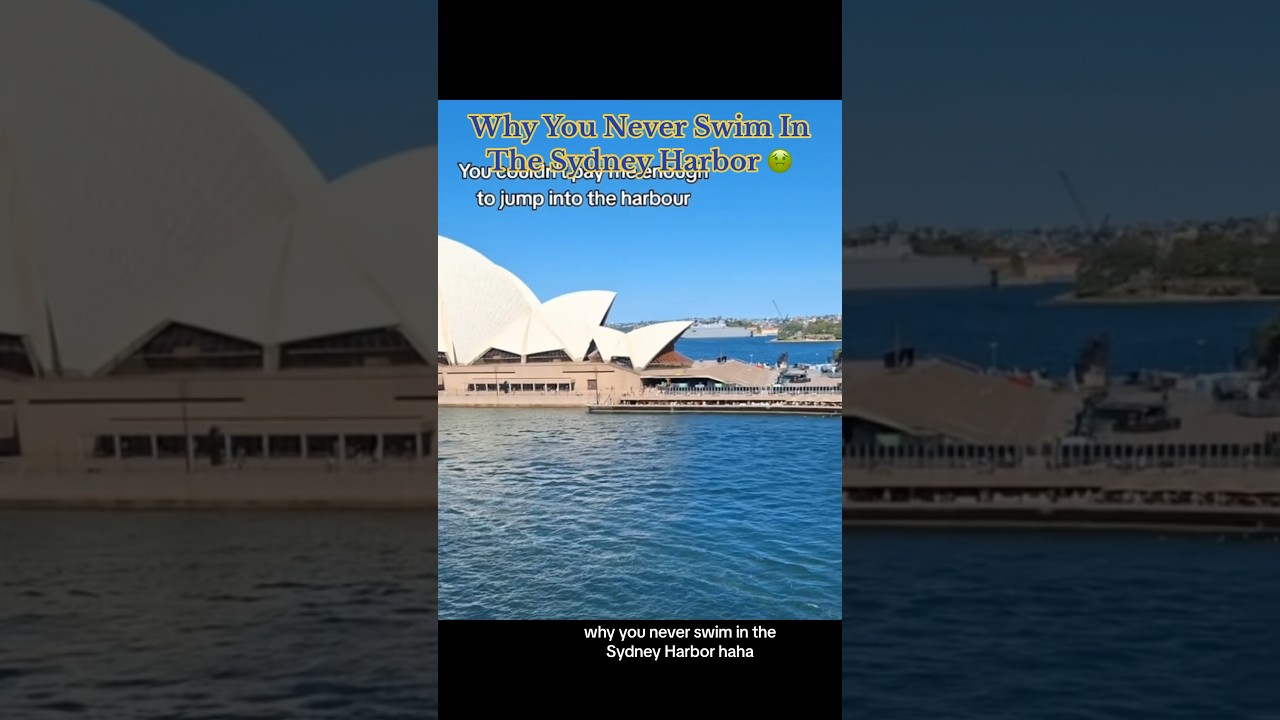 Why You Never Swim In The Sydney Harbor 🤢 #gross