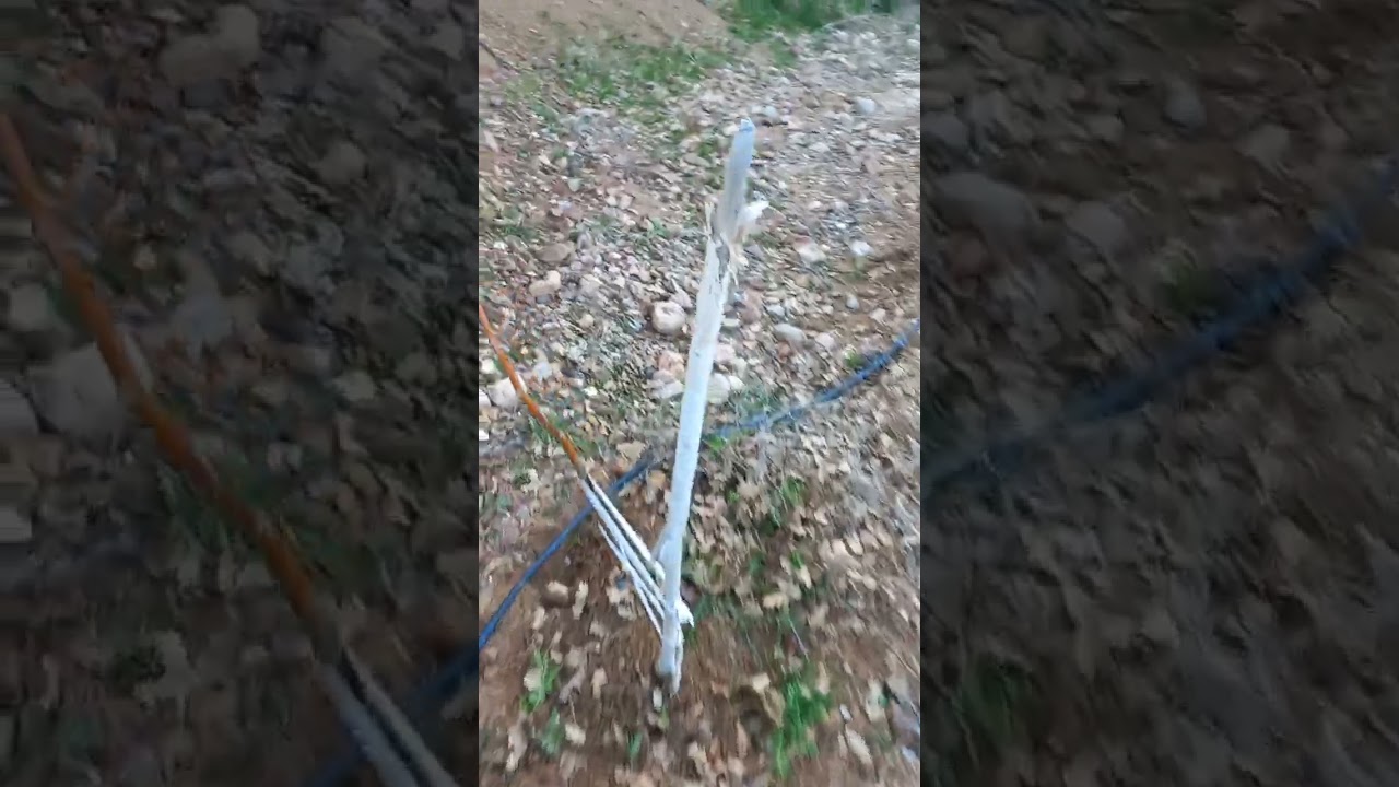 Humik Asit Kullanımı 2