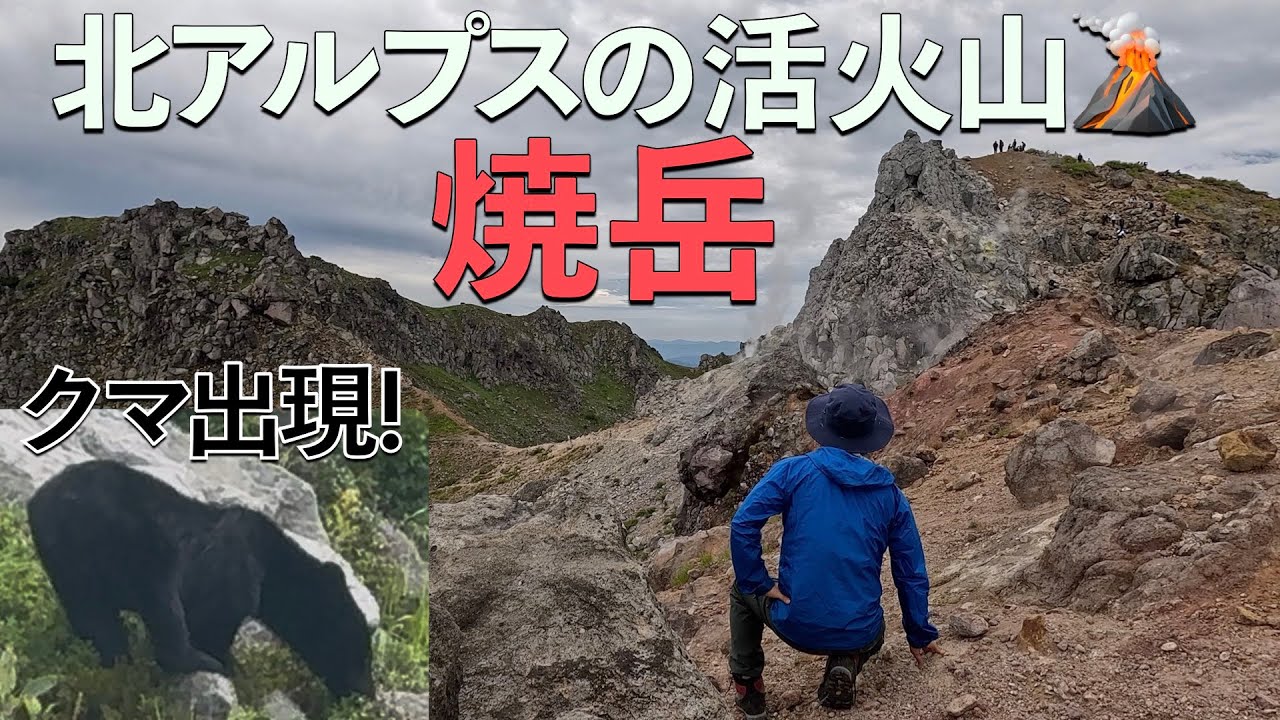 【北アルプス登山】【百名山】北アルプスの活火山・焼岳~ まさかのクマ出現！🐻噴煙立ち上がるダイナミックな景色！~  新中の湯登山口&rarr;上高地