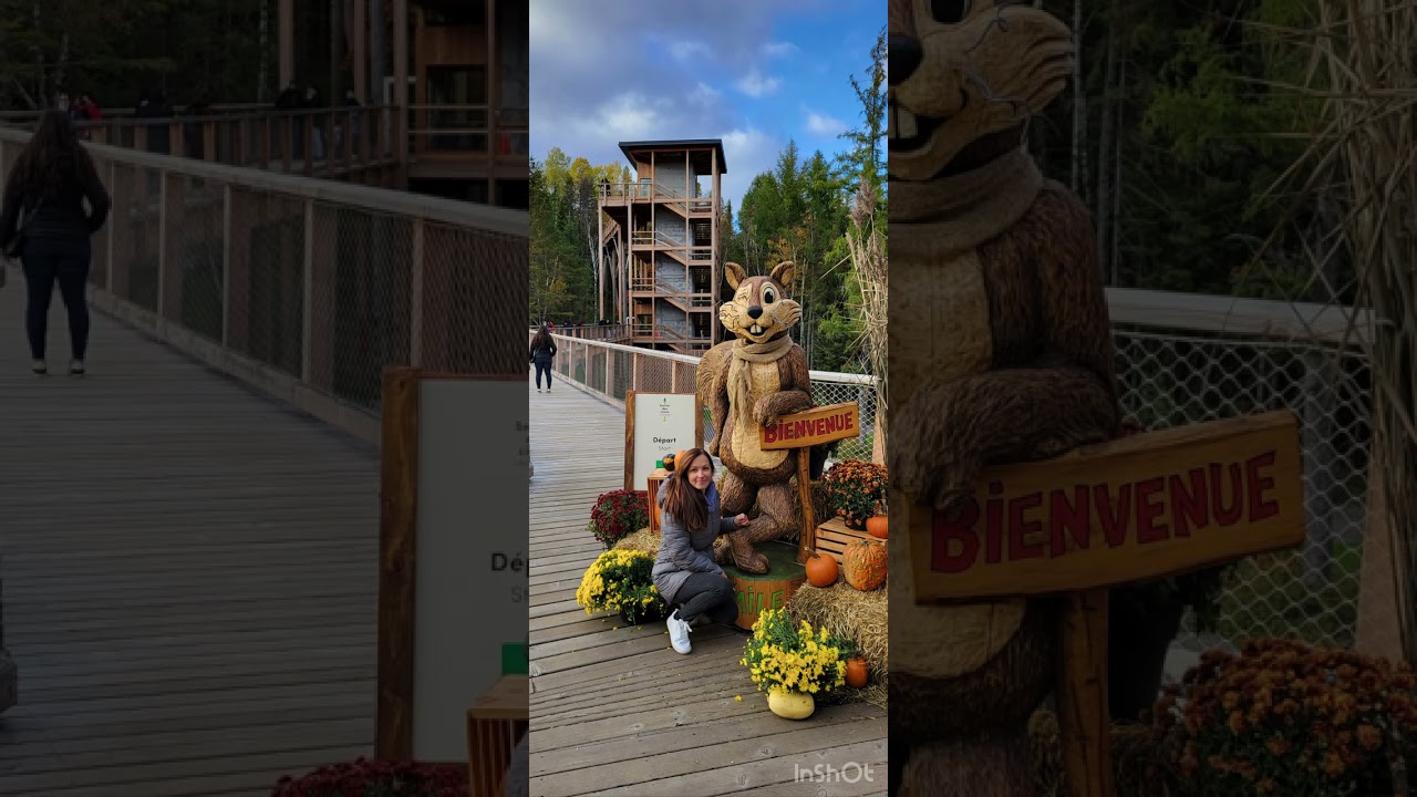 #canada#quebec#montblanc#autumn#weekend#family