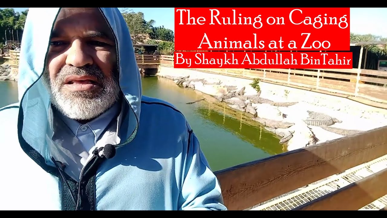 The Ruling on Caging Animals at a Zoo According the Maliki Madhab | Shaykh Abdullah BinTahir