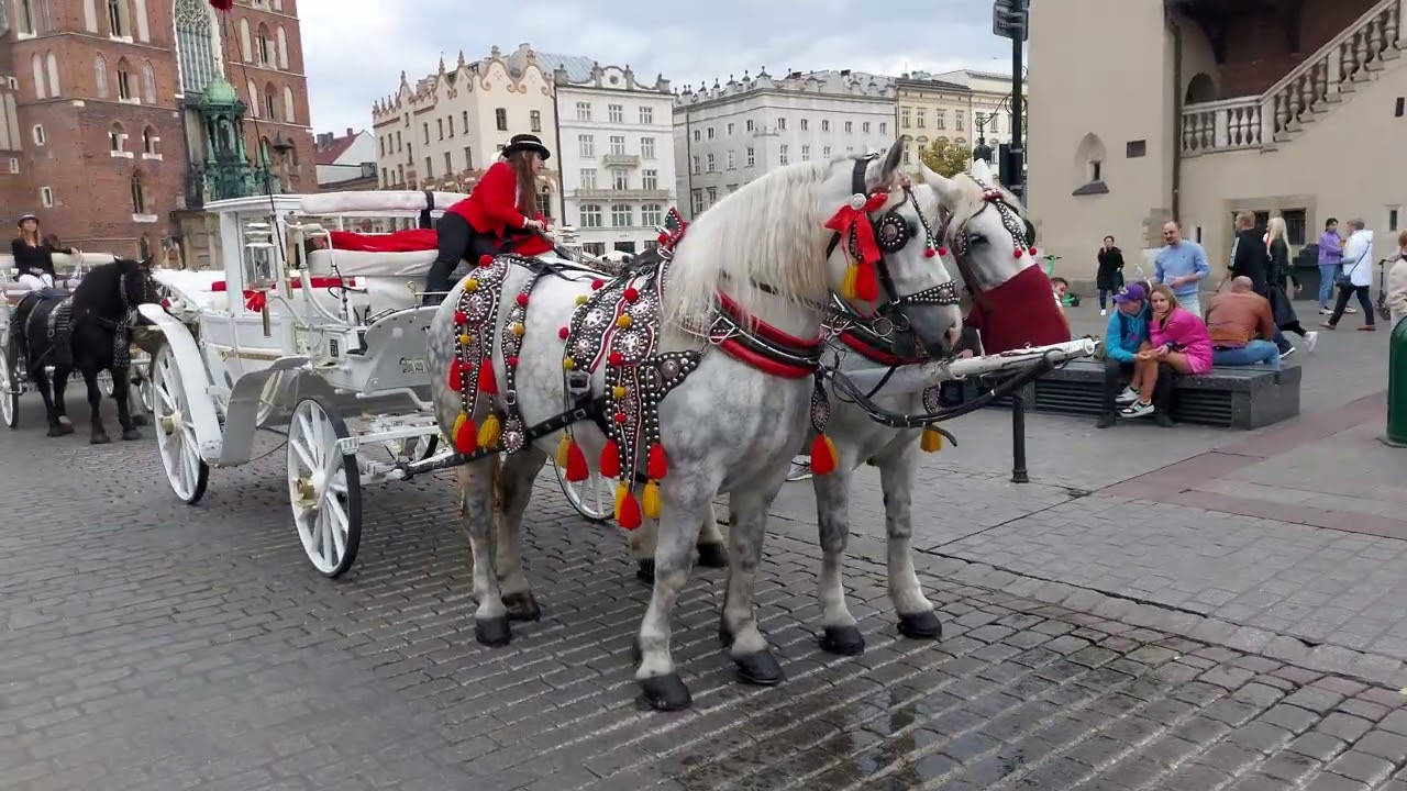 22 października 2022 KRAKOW