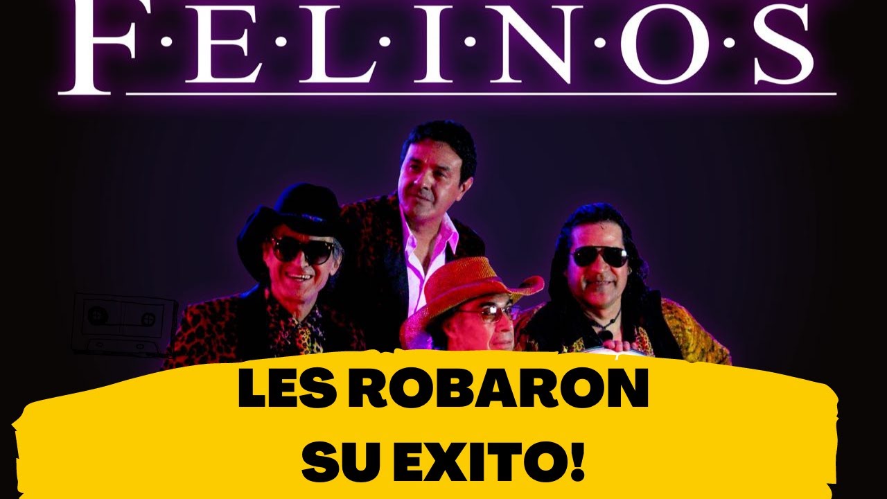 LA HISTORIA QUE NO CONOCIAS DE LOS FELINOS 2021!