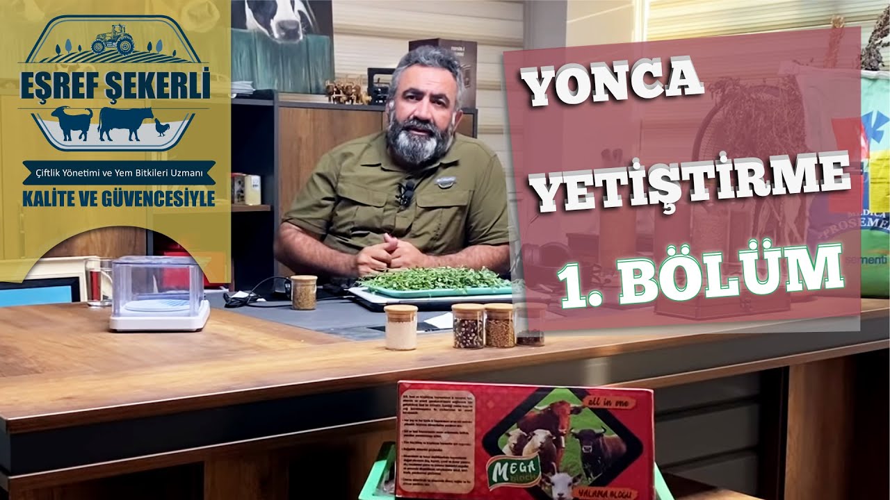 Yonca Yetiştiriciliği - 1. Bölüm #Yonca