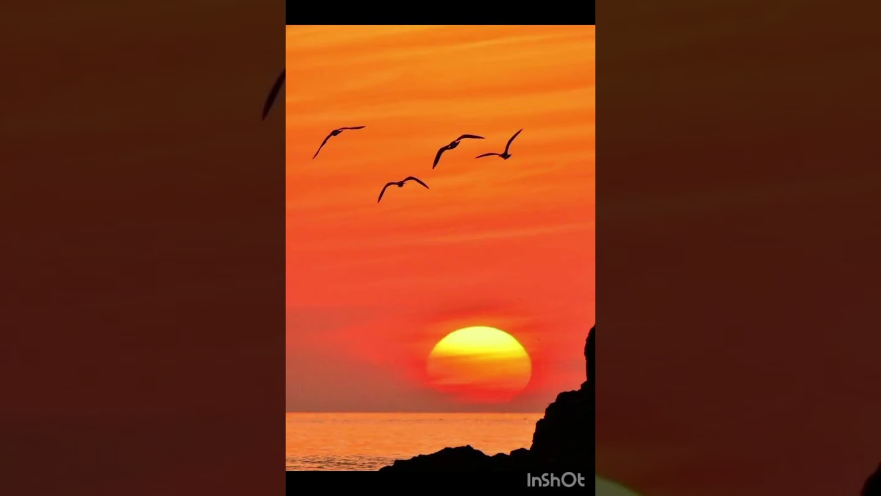 Mi primera canción está letra es mía y hecho por suno ( ia)