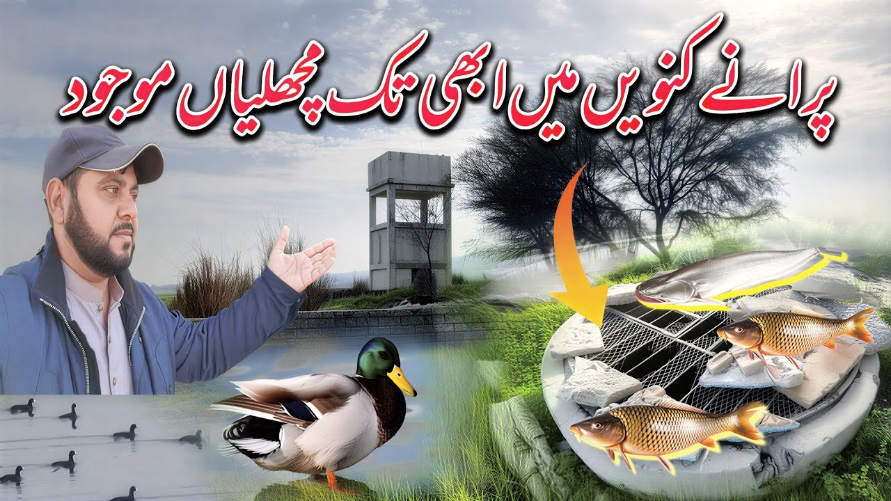 Purane Kuen mMein Abhi Tak Machhliyan Maujud | Village Vlog