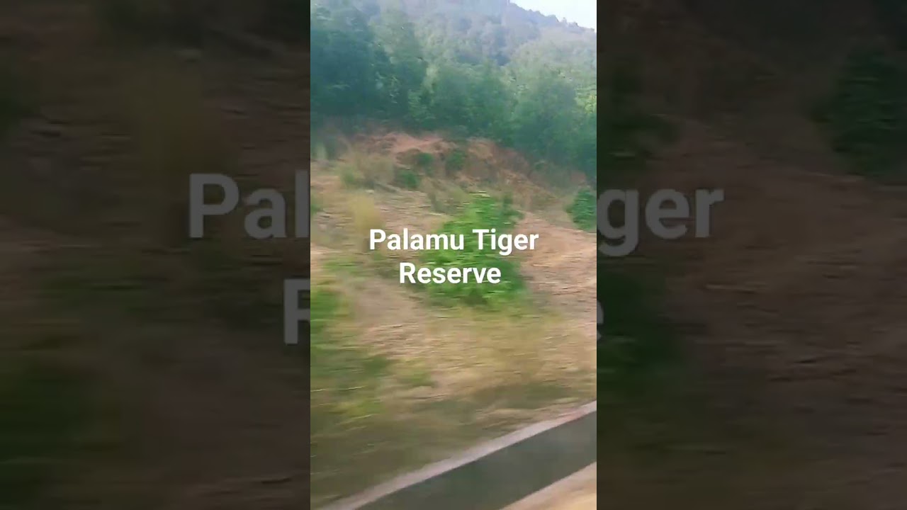 #nature #Palamau #Tigerreserve