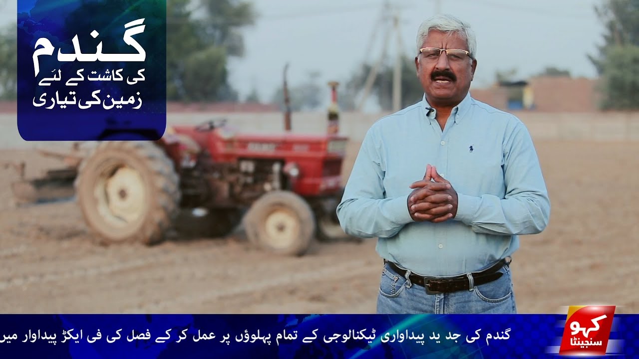 کپاس کے بعد گندم کی فصل کے لیے زمین کی تیاری کا طریقہ