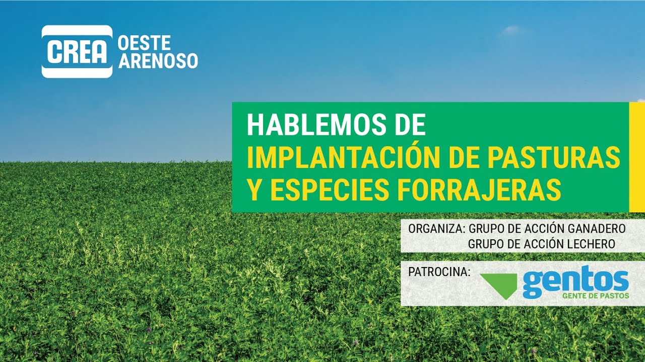 Hablemos de Implantación de Pasturas y Especies Forrajeras