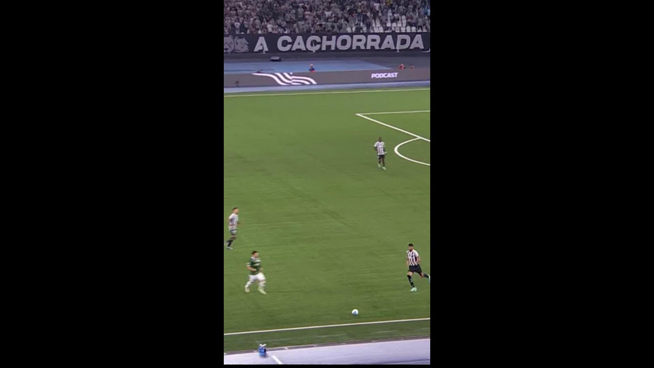 VEIGA ACERTA BOLADA EM ARTUR JORGE! | BOTAFOGO X PALMEIRAS | BRASILEIR&Atilde;O 2024 | #shorts | ge.globo