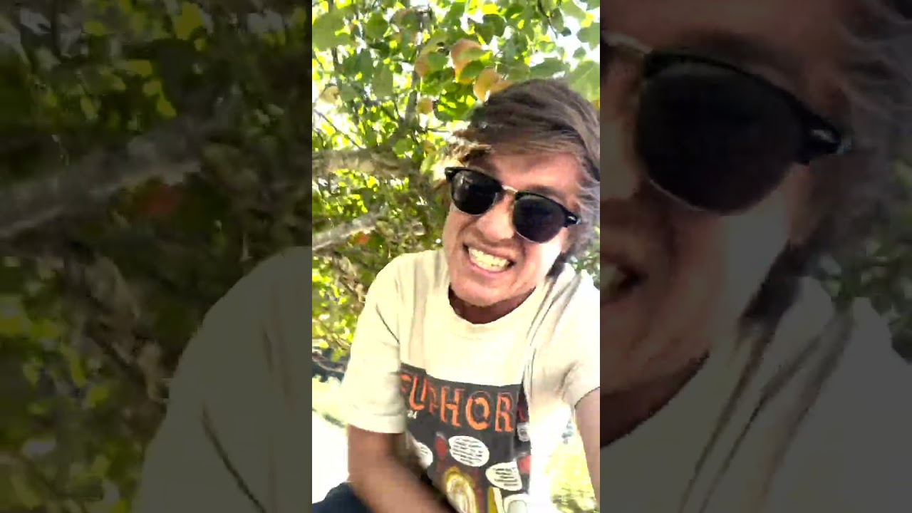 Rotten Fruits (feat. Horseshoe G.A.N.G) Music Video 